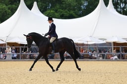 H29_3587 2026