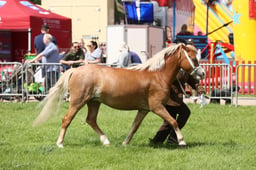 E34_1625 2026