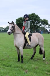 51 Lead Rein Show Hunter Pony