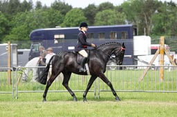 C34_2337 2026