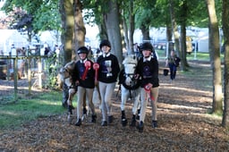 M46_4826 2026