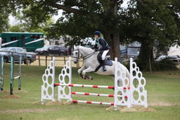 303 Kelshamore Dandy