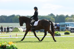 256 TEMPLEBREADYS ROYAL SPIRIT