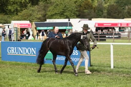E31_0504 2026