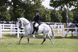 E43_0707 2026