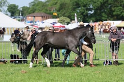 C33_0883 2026
