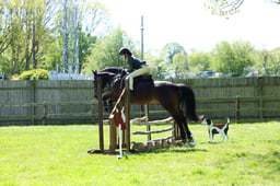 M19_0458 2026