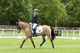 E29_2009 2026