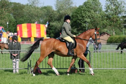 C33_0624 2026