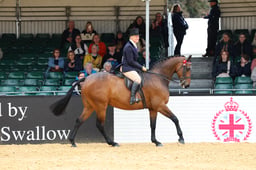 Riding Horse Championship