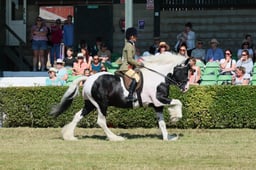 S61_0747 2026
