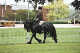 267 HOYS M&M Ridden Fell