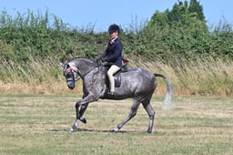 S60_0509 2026