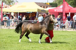 E34_1645 2026