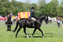 C33_1282 2026