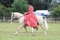 53 Side Saddle Concours