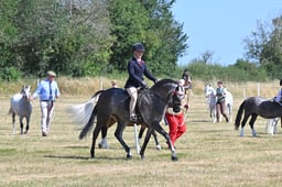 S60_0503 2026