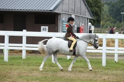 F511-10 M&M Novice Championship