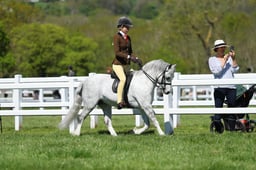 H19_0652 2026