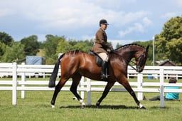 CLH108 Novice Hunters