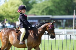 56 Unaffiliated First Ridden