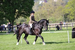 C19_0413 2026