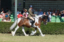 S61_0693 2026