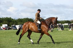 E36_0373 2026