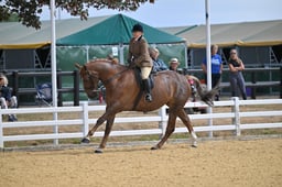 A66_0799 2026