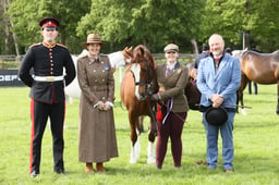E31_0382 2026