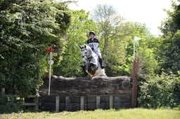 D27_0533 2026