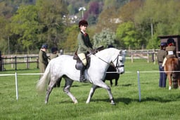 C19_0443 2026