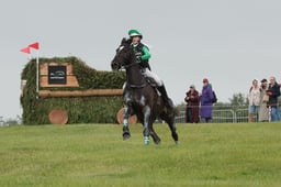 E39_0378 2026