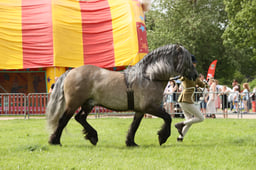 E34_2726 2026