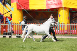 E34_1655 2026