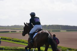 D1704466 2026