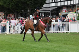 80-77 Show Hunter Pony Championships