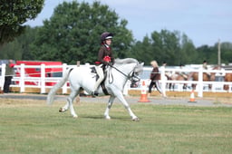 F66_0371 2026