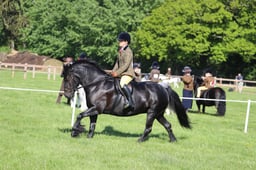 C19_0504 2026