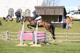 653 DELOUGHTANE DINGO