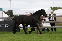W29_0752 2026