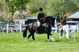 H19_0492 2026