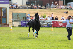 E69_1020 2026