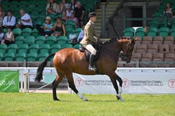 A68_1465 2026