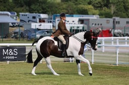 Z68_1053 2026