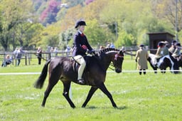 C19_1882 2026