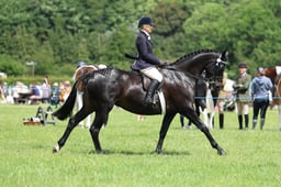 H36_8578 2026