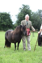 Shetland Standard Championships