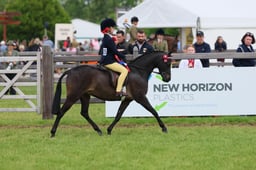 134-133 Show Pony Mini Championship