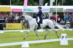 204 CLASSICALS EURO STAR